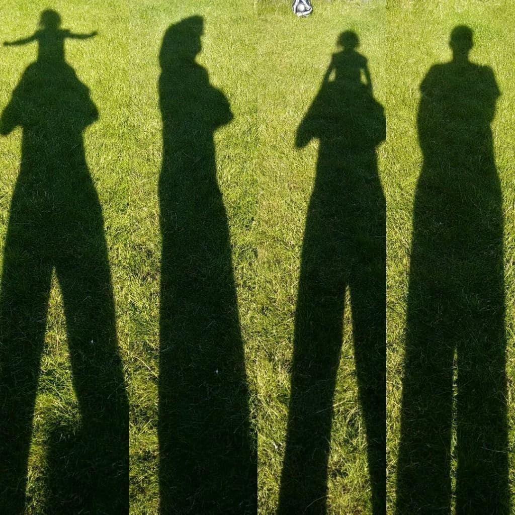 image of 4 different self shadows 