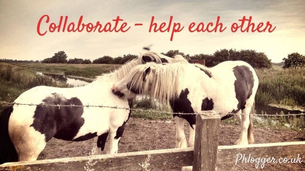horses cleaning each other + collaborate messsagey by phlogger